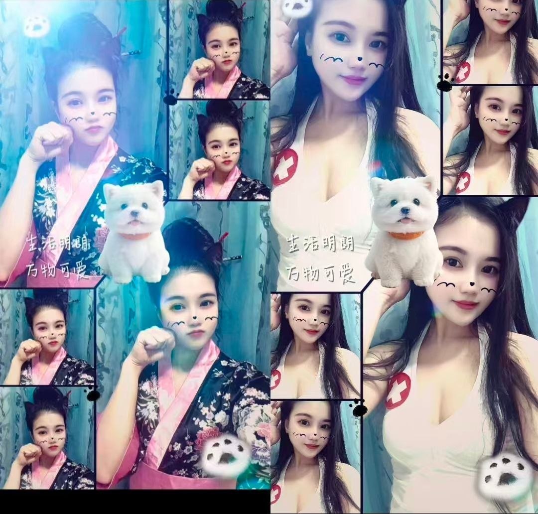 精彩照片
